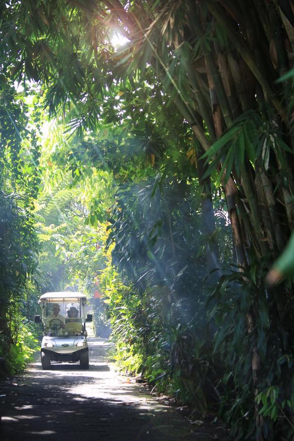 Artist Village By Pramana Watu Kurung Ubud Kültér fotó